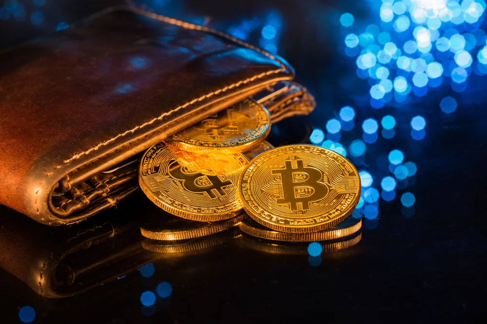 Multi-chain crypto wallet development services by EvaCodes — launch and scale your business securely